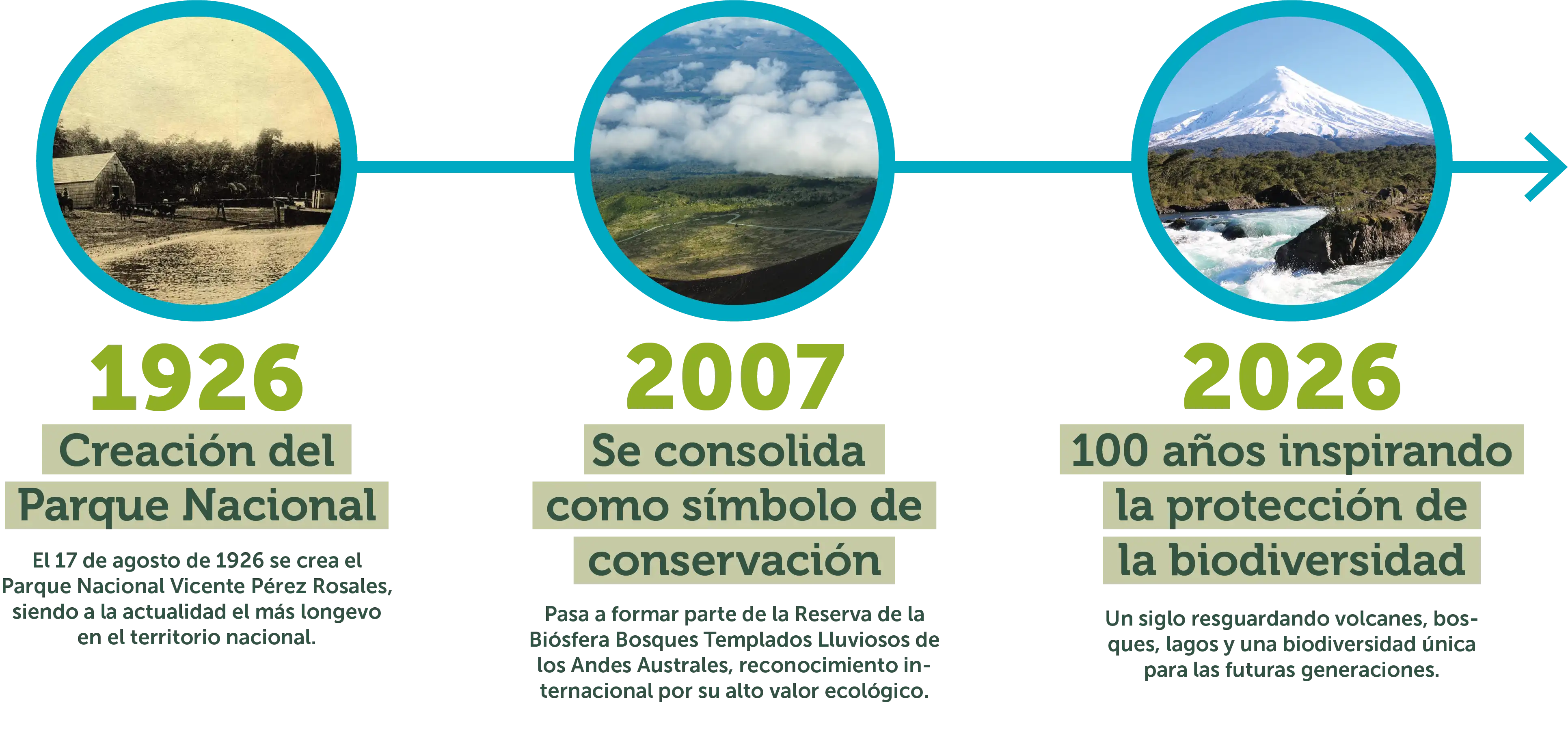 Línea tiempo PN Vicente Pérez