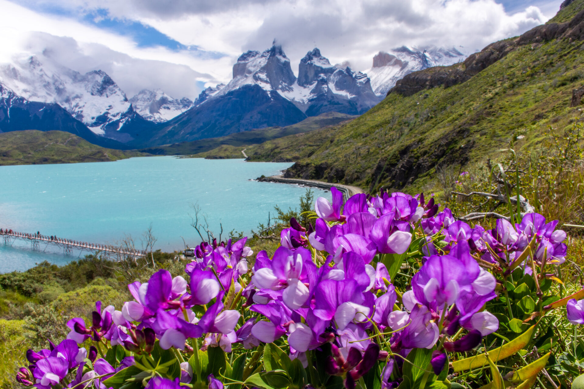 Chile es reconocido como Mejor Destino Internacional en los Forbes Travel Awards 2026