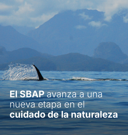 SBAP avanza a nueva etapa en el cuidado de la naturaleza